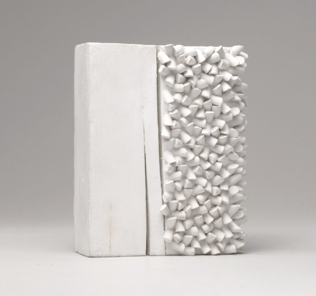 Fortes D’Aloia & Gabriel e Raquel Arnaud apresentam artistas na Art Basel